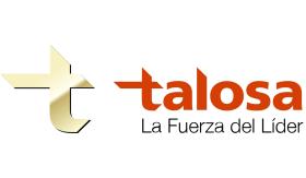 TALOSA 6106766 - SOP MOTOR FIAT LINEA, 06- FIAT LINE