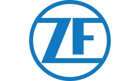 SUBFAMILIA DE ZF  ZF