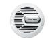 Alpine SWRM100 - Subwoofer marino 10" Color plata