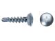 AutoRepair 8101 - Tornillo de matrícula 5.1 x 19 mm. 250 udn.