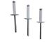 AutoRepair 8362 - Remache aluminio Flor Ala Ancha Blanco 4.8x18 Mm. 250 U