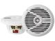 Alpine SPS-M601 - Altavoz Coaxial de 2 Vias (16,5 cm)