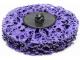 AutoRepair 6770 - Disco De Carbono TR3 Ø 50 Mm. Purpura Medio