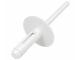 AutoRepair 8109 - REMACHE PLASTICO Ø 6,0 X 18 MM. BLANCO